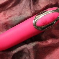 Review: Closet Collection Toys Roberta Pleaser