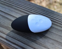 Review: LELO SIRI 2